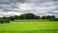 nikonz16-50_TH_0729