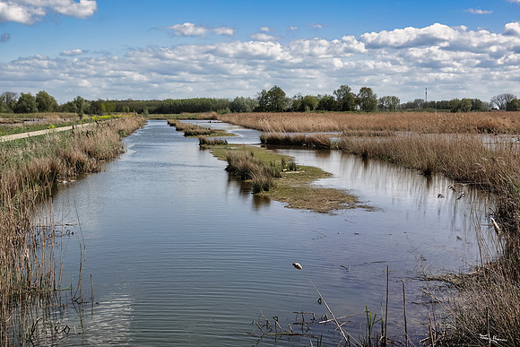 lingezegen_TH_0618
