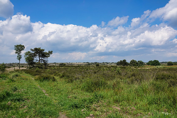 rondje_scoot_TH_0834