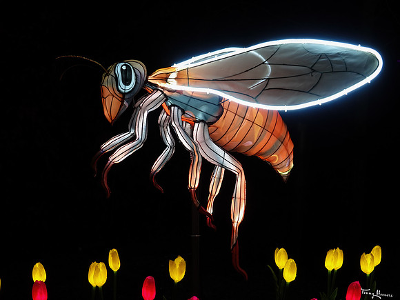 ouwehand_light_zoo_TH_0109