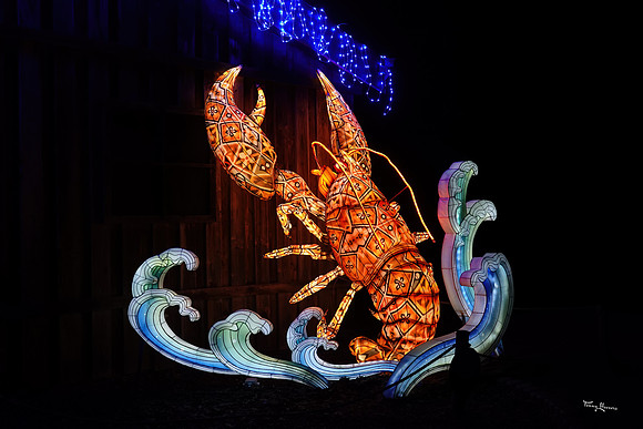 ouwehand_light_zoo_TH_0101