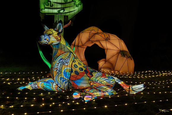 ouwehand_light_zoo_TH_0092