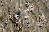 lingezegen_TH_0476