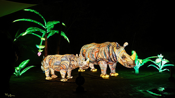 ouwehand_light_zoo_TH_0075