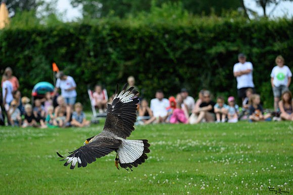 valkenhof_TH_1379