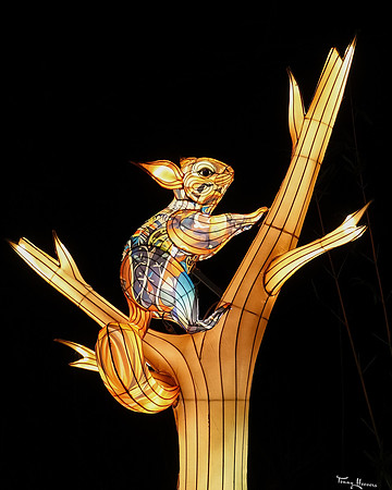 ouwehand_light_zoo_TH_0113