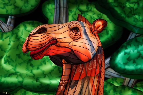 ouwehand_light_zoo_TH_0061