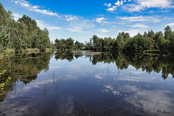 hogeveluwe_TH_1358