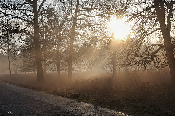 hogeveluwe_TH_0133