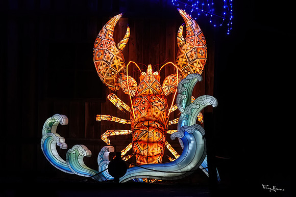 ouwehand_light_zoo_TH_0110