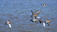 lingezegen_TH_0484