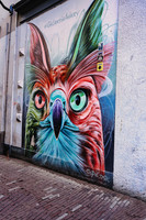 arnhem_TH_0151