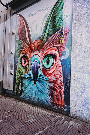 arnhem_TH_0151