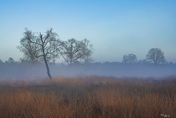 hogeveluwe_TH_0130