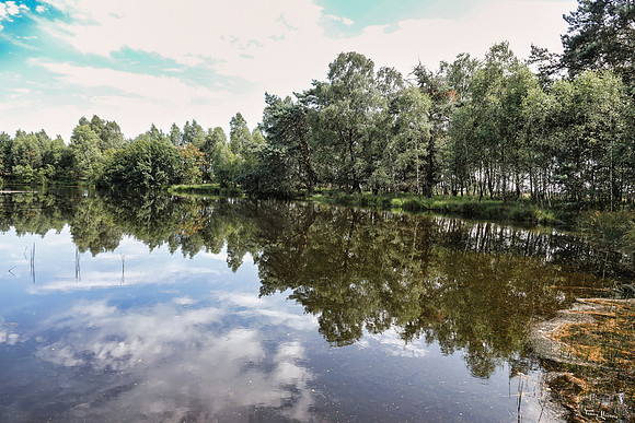 hogeveluwe_TH_1361