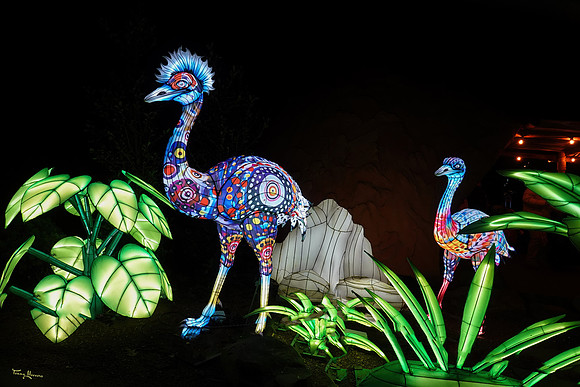 ouwehand_light_zoo_TH_0093