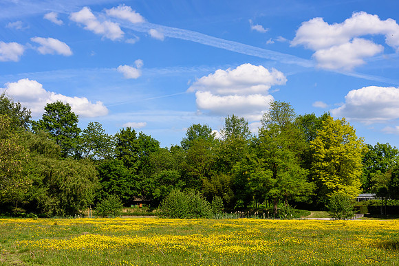 larenstein_TH_0712