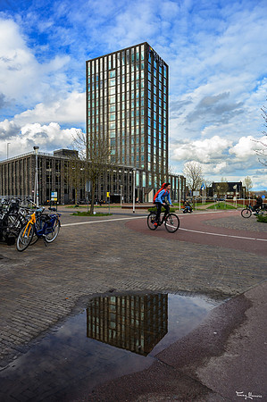 oversteek_TH_0506