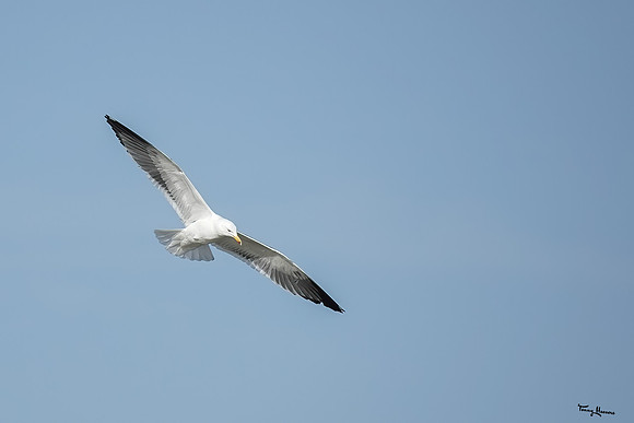 lingezegen_TH_0407