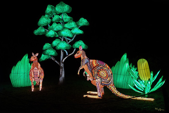 ouwehand_light_zoo_TH_0082