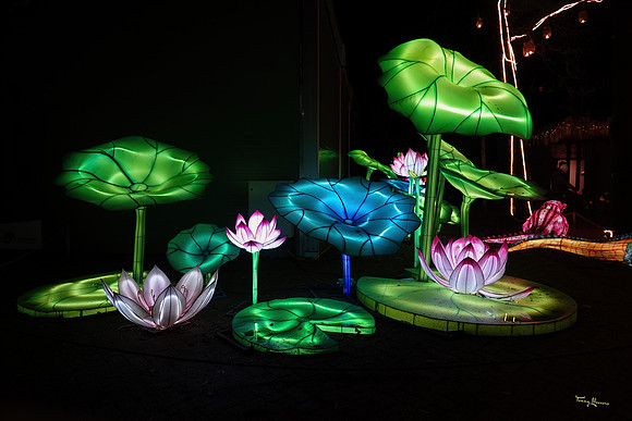 ouwehand_light_zoo_TH_0077