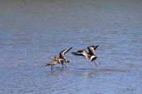 lingezegen_TH_0748