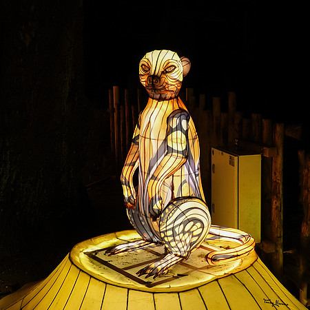 ouwehand_light_zoo_TH_0066