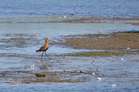 lingezegen_TH_0745