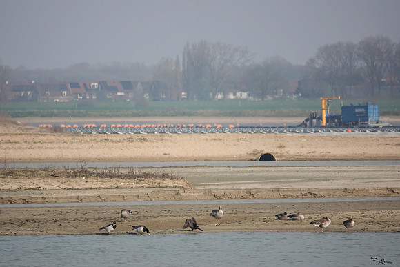 havikerwaard_TH_0500