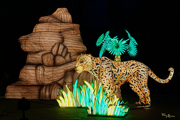 ouwehand_light_zoo_TH_0059