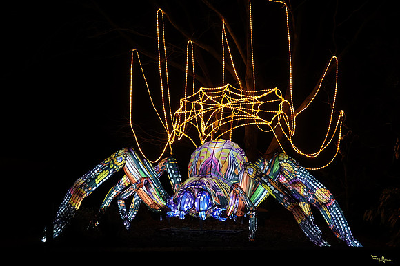 ouwehand_light_zoo_TH_0083