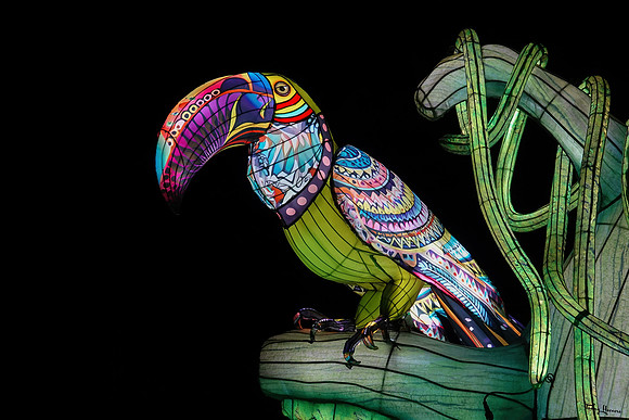 ouwehand_light_zoo_TH_0096
