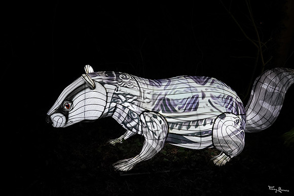 ouwehand_light_zoo_TH_0058