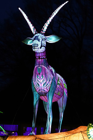 ouwehand_light_zoo_TH_0062