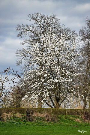 rondje_scoot_TH_0447