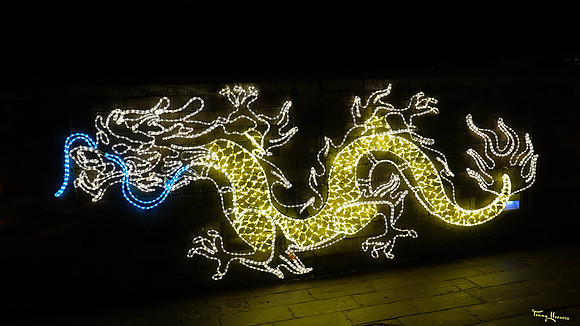 ouwehand_light_zoo_TH_0080